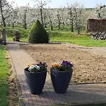 Vroeleneind * 诺尔贝克