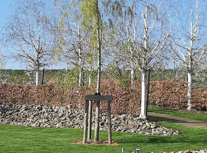 بيت للعطل Vroeleneind